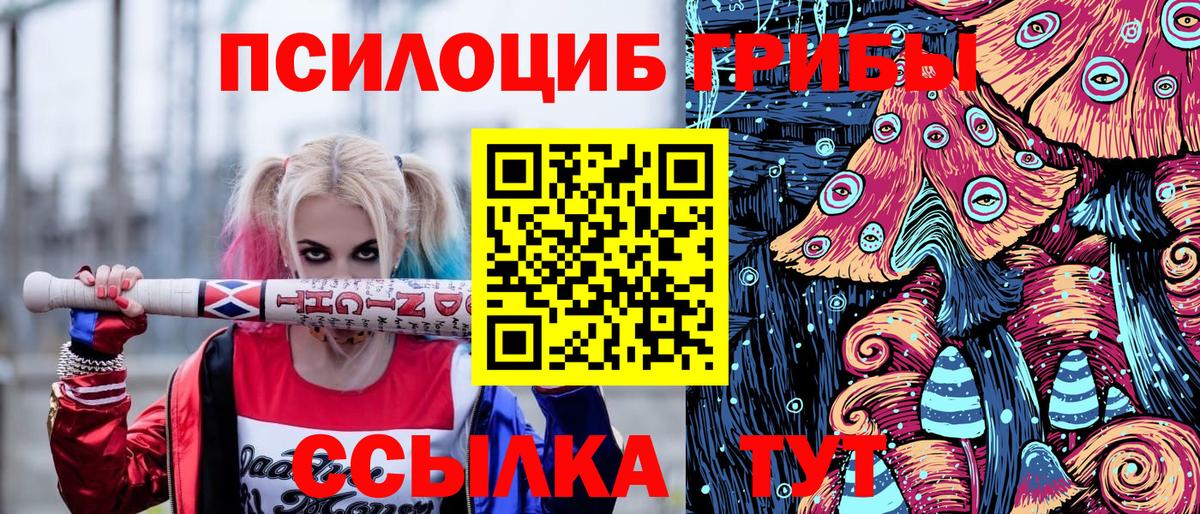 Кумертау  Галлюциногенные грибы прущие грибы  Вход с VPN 